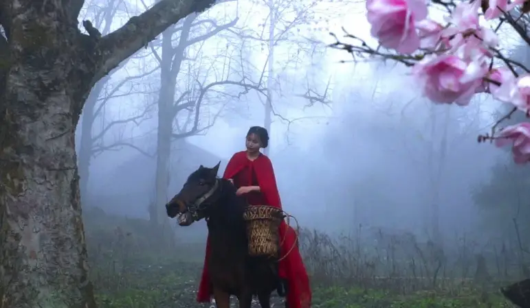 Li Ziqi on Horse