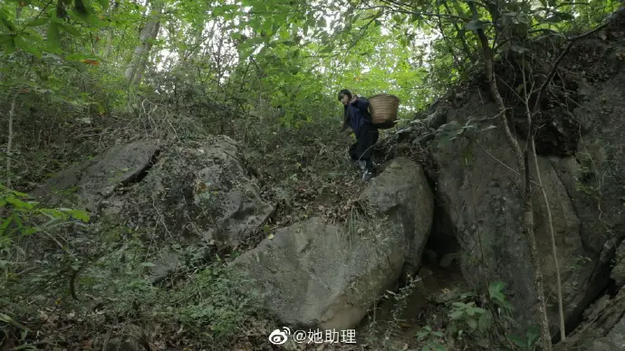 Li Ziqi Falling off Rock