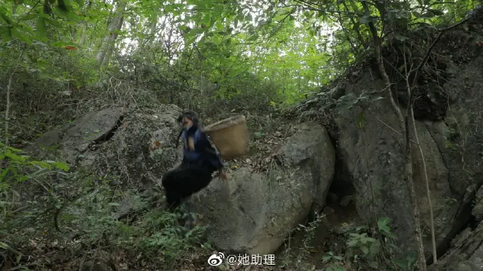 Li Ziqi Falling off Rock 2
