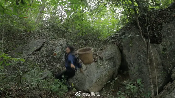 Li Ziqi Falling off Rock 3