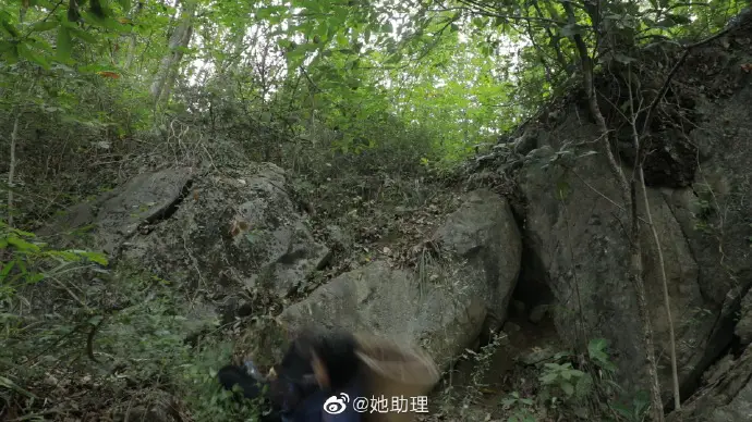 Li Ziqi Falling off Rock 4