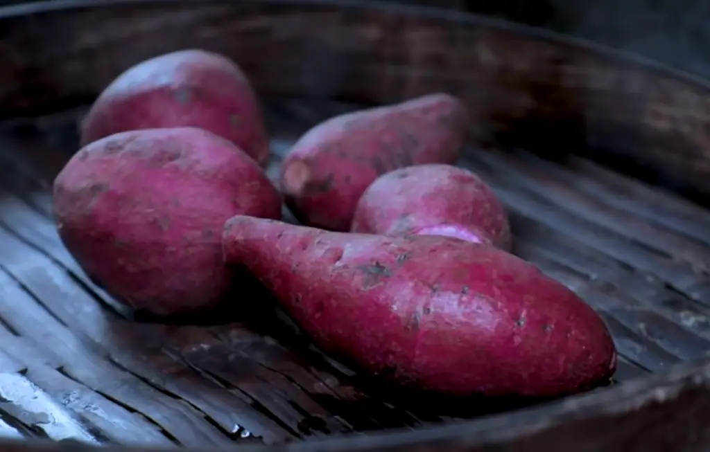 Steamed Sweet Potato